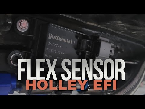 How to Wire and Install an E85 Flex Fuel Sensor Holley EFI Terminator X