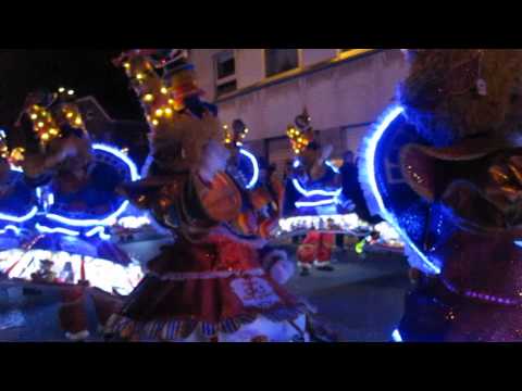 Aalst Carnaval 2014 - De Zieke Zjieratten-Twiekierenniet