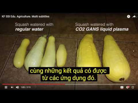 2017 01 07 AM Public Teaching in Vietnamese - Buổi giảng công cộng bằng tiếng Việt