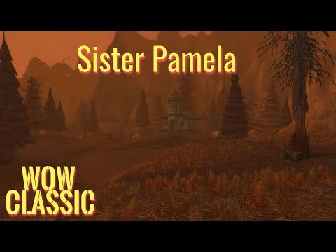 WoW Classic/Warrior leveling Guide----Sister Pamela quest in the Eastern Plaguelands