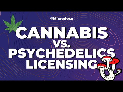 Cannabis vs. Psychedelics Licensing—Lucas McCann, Co-founder/CSO Canndelta/Psydelta | PsyCap Oct '21