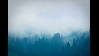 MOTHXR - SHE CAN&#39;T TELL (LYRICS)