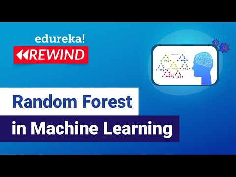 Explore Random Forest Algorithm | Machine Learning Training | Edureka | ML Rewind 3