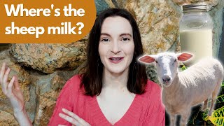 Where to Find Sheep Milk in your Area