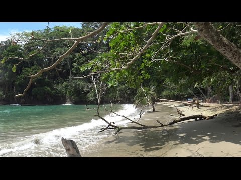 Playa Punta Uva Costa Rica