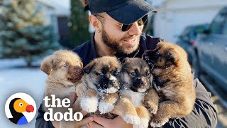 Brady Oliveira Saves Puppies In His Free Time | The Dodo Teammates by The Dodo