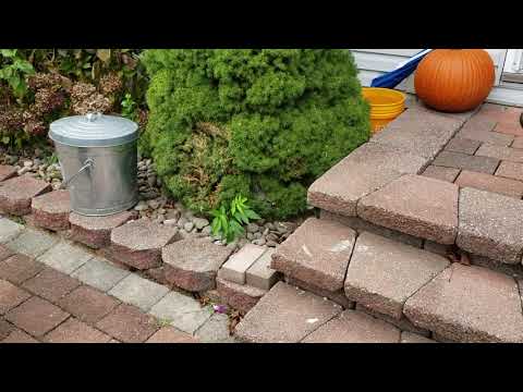 Yellow Jackets Use the Front Door in Spring Lake, NJ