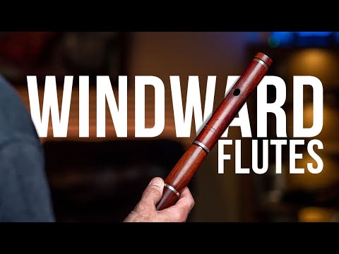 Windward Keyless mopane Irish flute no. 334 Early 2010s image 8
