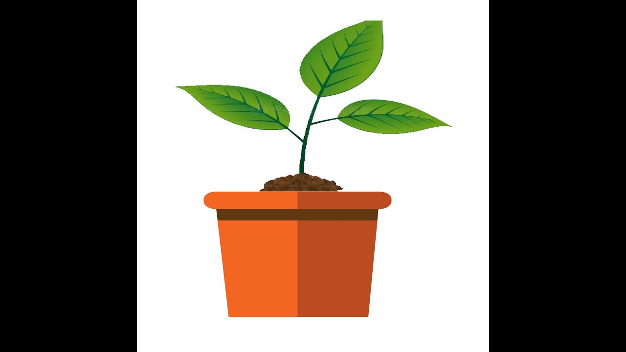 Flat Design Potted Plants in Adobe Illustrator CC | Easy Vector Illustration Tutorial