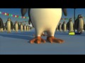 La danse des Pingouins - France 