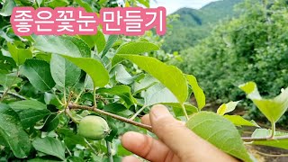 좋은꽃눈 이렇게 만들자