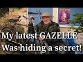 My Latest Gazelle 3 Speed Vintage Dutchbike Was Hiding An Amazing Secret From Me