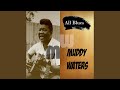 Tiger in Your Tank - Muddy Waters - Topic Tiger in Your Tank