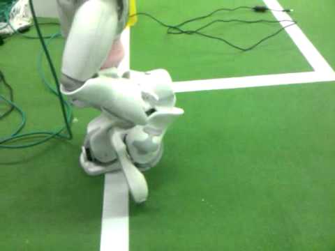 Bembelbots Back-Kick