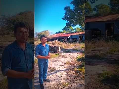 2°da parte forestal #forestal #mitos #tartagal