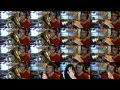 19 Seconds Of A Bug S Life