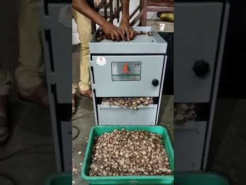 Automatic Betel Nut Cutter