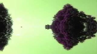 ashra - morgana da capo - correlations