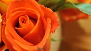 One Lady by Jimmy Webb