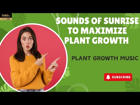 Plants Growth Music 🌱 Sunrise Sounds To Maximize Your Plants Growth