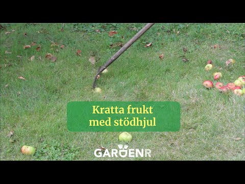 Rake fruit with support wheels - Gardenhacks by GardenR