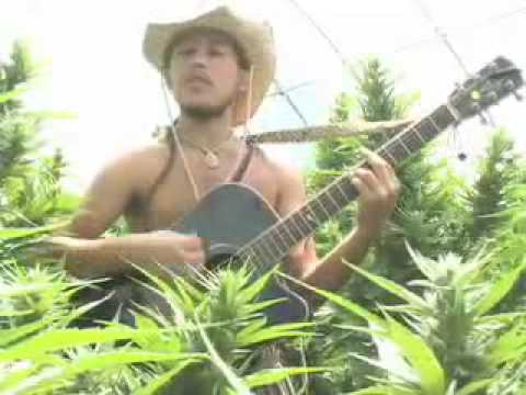 Tree of Life by The Human Revolution - Song about the remarkable Hemp Plant Cannabis sativa