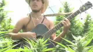 Tree of Life by The Human Revolution - Song about the remarkable Hemp Plant Cannabis sativa