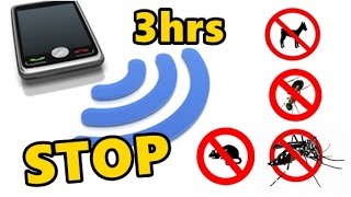 [問卦] 高頻驅狗真的有效嗎??