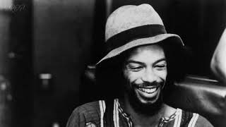 Gil Scott-Heron - Home Is Where the Hatred Is (Legendado/Tradução)