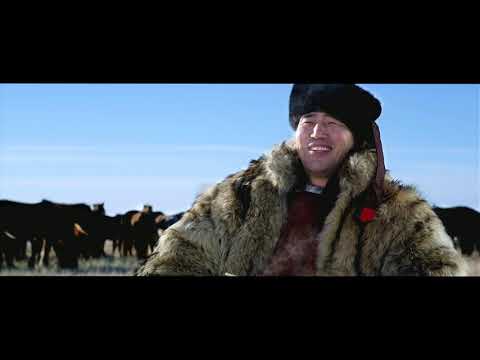 Үндэсний брэнд ЛАПША