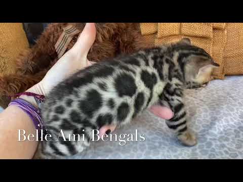 Josette- girl (shivering some bc it was cold)