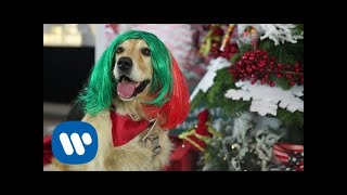 SIA – Puppies Are Forever @ Warner Music Italy