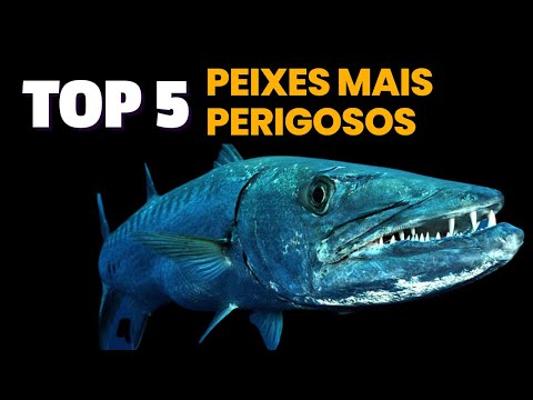 OS PEIXES MAIS PERIGOSOS DO MUNDO