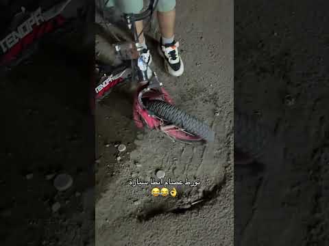 السيارة شكلها تقول: أنا ما خربانة… بس أبغى شوية دعم من بايسكل! 🚲😂