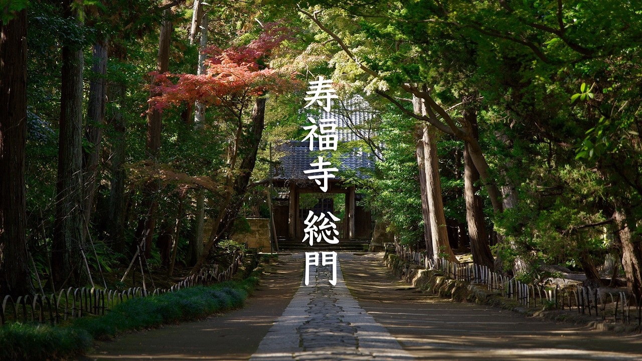 Jufuku-ji Temple Main Gate
