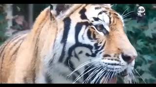 Gởi Tiền NGÂN HÀNG - Bạn Cần Biết !