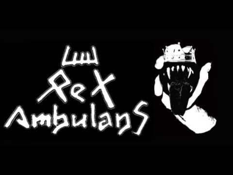 Rex Ambulans - Uderz w Mur