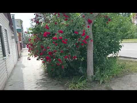 Анапа. 5 июня 2023. Тёплая мягкая погода!