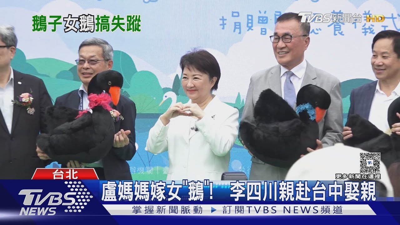 想娘家?盧秀燕「女鵝」嫁台北 2個月逃2次