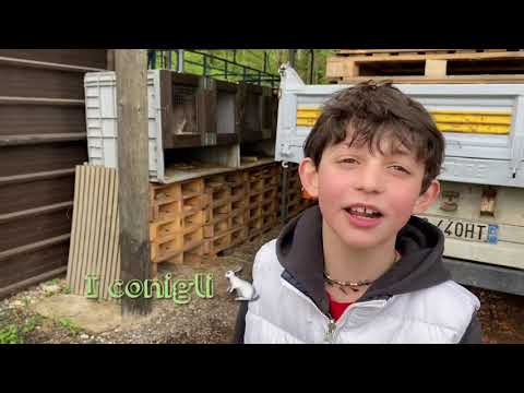 Animali della nostra fattoria 🏡🏞