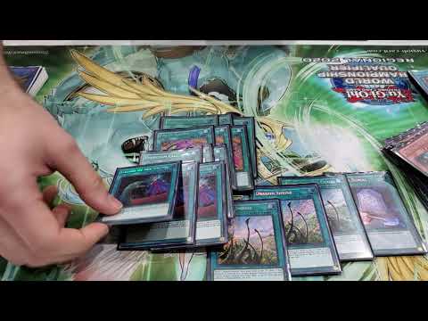 Joseph staskey Pendulum Magician top 8 Jacksonville regionals
