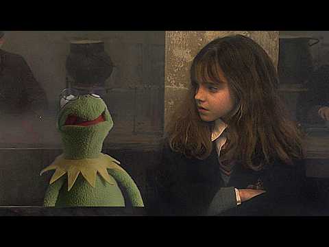 The Sorcerer's Stone but Kermit is Harry Potter
