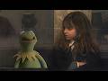 The Sorcerer S Stone But Kermit Is Harry Potter