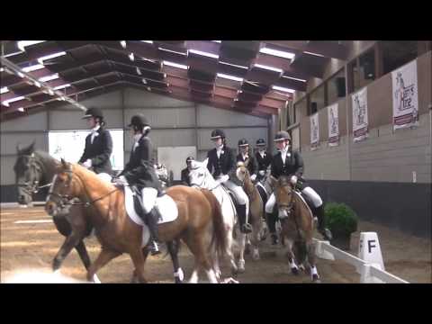 NK Carrousel 2017 1e Divisie Pony's Now or Never