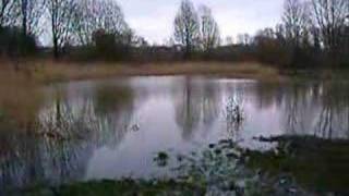 preview picture of video 'Caldicot Castle Country Park, South Wales, U.K.'