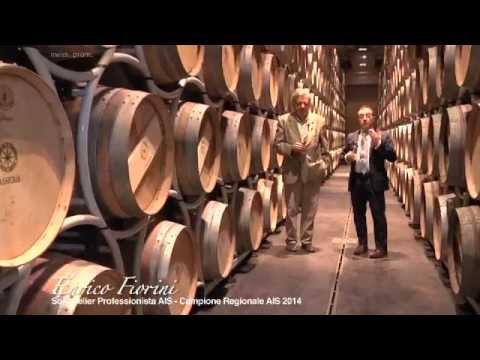 Il Mio Amico Sommelier - NUOVA SERIE - 10 - Sassicaia