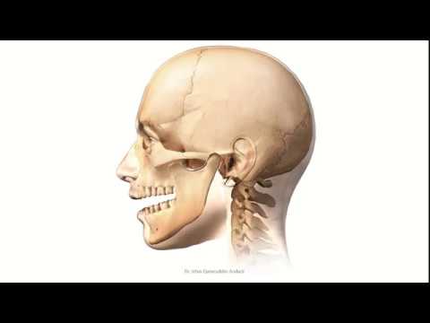 functional shift of jaw (pseudo class 3)