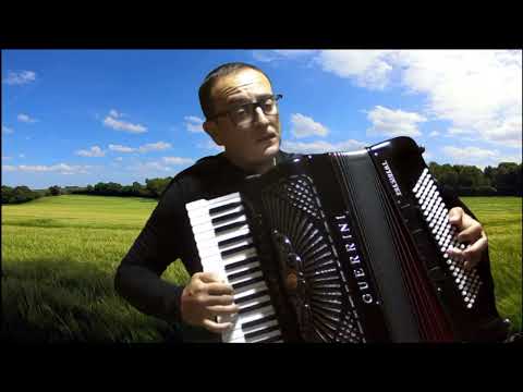 Ivan Stamenić - A ti se nećeš vratiti (Vratiće se rode)