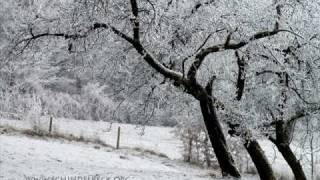 Curse-bis zum schluss ( meine wahre liebe!)