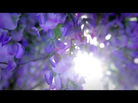 Yamamay Spring  2014_ Underwear Collection